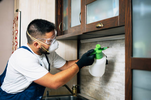 Best Best Pest Control Companies  in Anderson Island, WA
