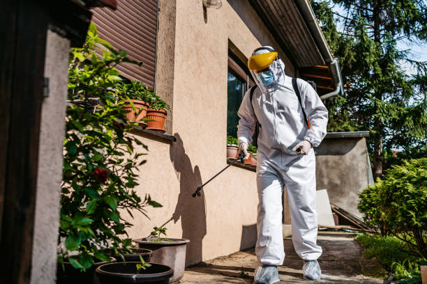 Best Wasp Removal Services  in Anderson Island, WA