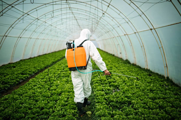 Best Best Pest Control Near Me  in Anderson Island, WA
