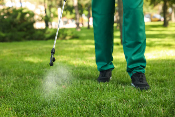Best Best Pest Control Companies  in Anderson Island, WA