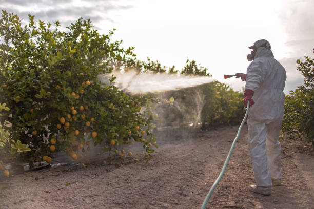 Best Mosquito Control Services  in Anderson Island, WA