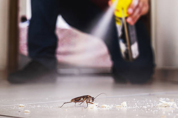 Best Bed Bug Extermination  in Anderson Island, WA