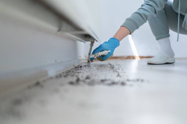 Best Cockroach Control Services  in Anderson Island, WA