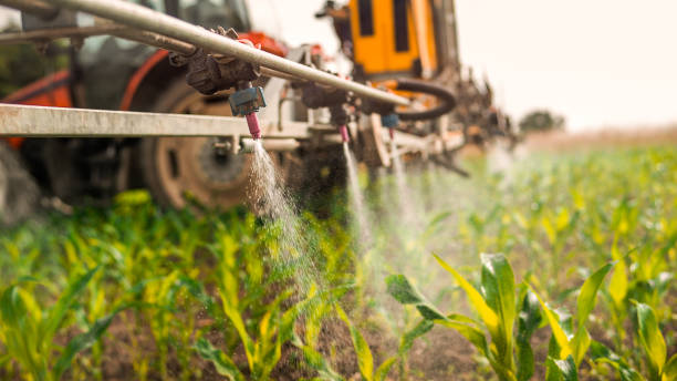 Best Pest Control for Businesses  in Anderson Island, WA