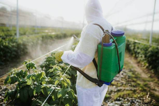 Anderson Island, WA Pest Control Company